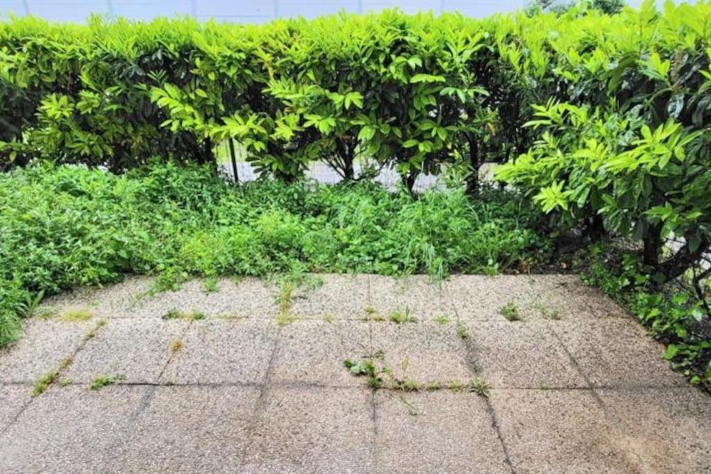 Appartement Cosy Proche Paris Le Bourget Kültér fotó